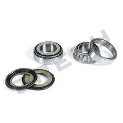 Sada ložisek a gufer krku řízení