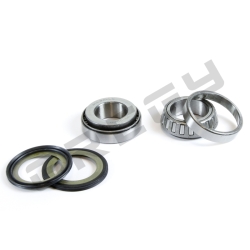 Sada ložisek a gufer krku řízení