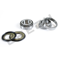 Sada ložisek a gufer krku řízení