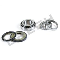 Sada ložisek a gufer krku řízení