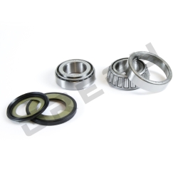 Sada ložisek a gufer krku řízení