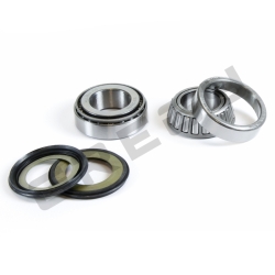 Sada ložisek a gufer krku řízení