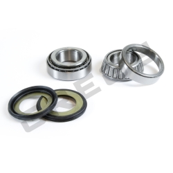 Sada ložisek a gufer krku řízení