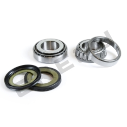 Sada ložisek a gufer krku řízení