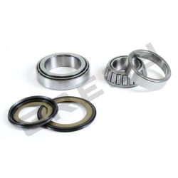 Sada ložisek a gufer krku řízení