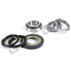 Sada ložisek a gufer krku řízení