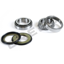 Sada ložisek a gufer krku řízení