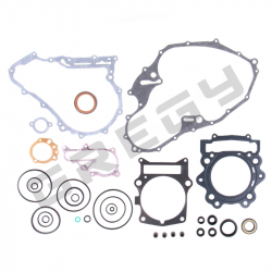 Sada těsnění YAMAHA YFM 700 R 15