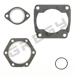 Horní těsnění POLARIS 250