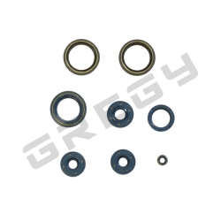 Sada gufer motora APRILIA RS 125