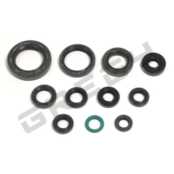Sada gufer motora HONDA CR 125