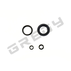 Sada gufer motora HONDA XR 650