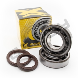 Sada ložisek a gufer kliky BETA RR 450 10