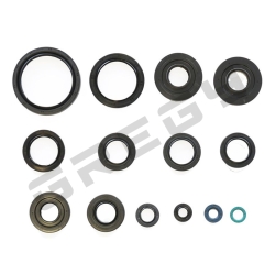 Sada gufer motora KAWASAKI BF 750