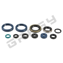 Sada gufer motora KAWASAKI KXF 250