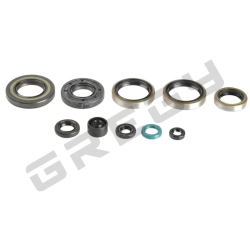 Sada gufer motora KAWASAKI KX 250