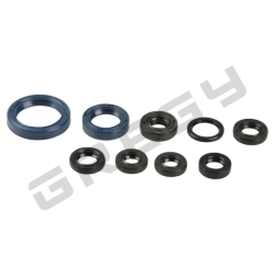 Sada gufer motora KAWASAKI KXF 450