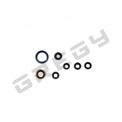 Sada gufer motora KAWASAKI KXF 450