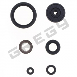 Sada gufer motora YAMAHA YZF 450 23