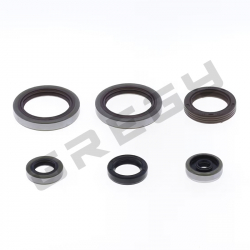 Sada gufer motora BETA RR 125 18