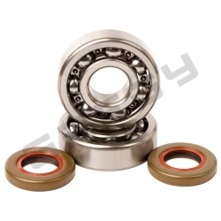 Sada ložisek a gufer klikového hřídele