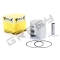 Pístní sada GAS GAS EC 300 - Rozměr: 71,95 mm