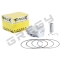 Pístní sada BETA RR 350 - Rozměr: 87,98 mm